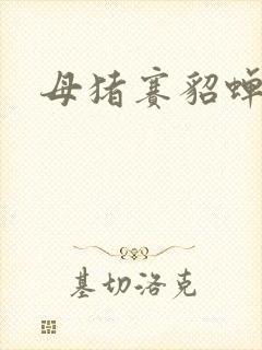 母猪赛貂蝉封面