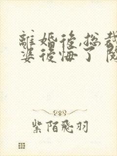 离婚后,总裁老婆后悔了 阅读