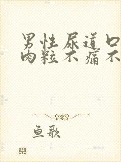 男性尿道口有小肉粒不痛不痒