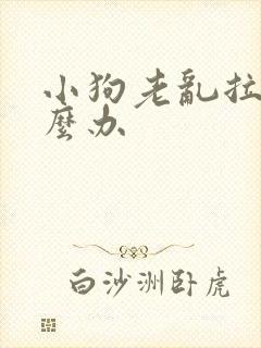 小狗老乱拉尿怎么办