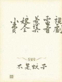 小娘惹电视剧免费全集看剧情第二十六集封面