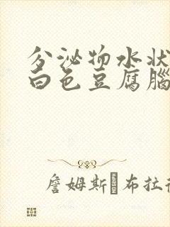 分泌物水状带有白色豆腐脑