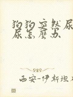 狗狗突然尿不出尿怎么办