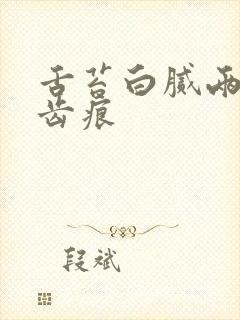 舌苔白腻两侧有齿痕