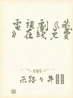 电视剧《藏海传》在线免费