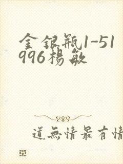 金银瓶1-51996杨敏封面