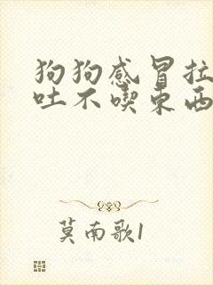 狗狗感冒拉稀呕吐不吃东西怎么办