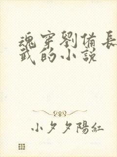 魂穿刘备长子刘武的小说