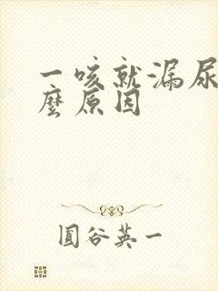 一咳就漏尿是什么原因封面