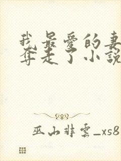 我最爱的妻子被夺走了小说