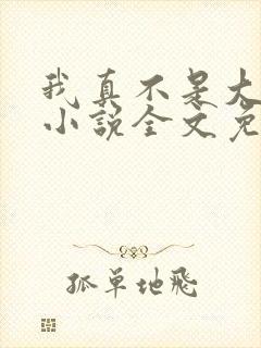 我真不是大魔王小说全文免费阅读