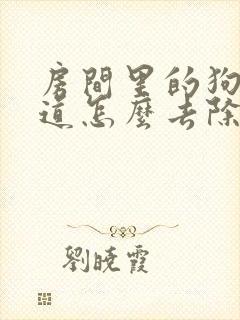 房间里的狗尿味道怎么去除