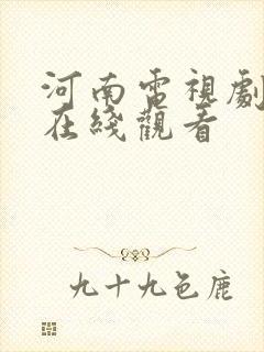 河南电视剧频道在线观看