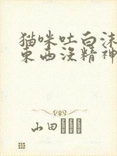 猫咪吐白沫不吃东西没精神