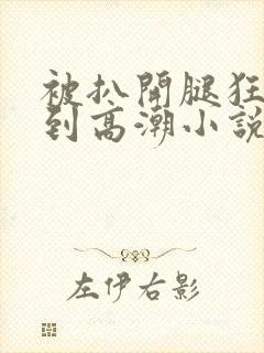 被扒开腿狂躁c到高潮小说麻