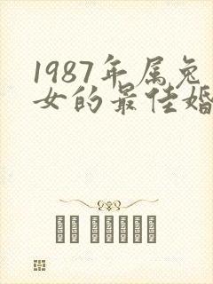 1987年属兔女的最佳婚配