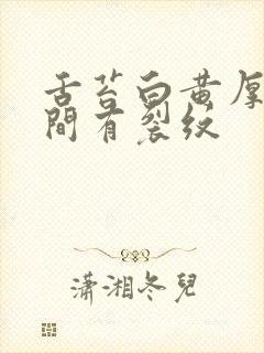 舌苔白黄厚腻中间有裂纹