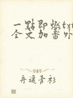 一点即燃txt全文加番外