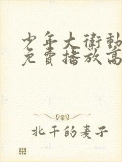 少年大卫动画片免费播放高清正版