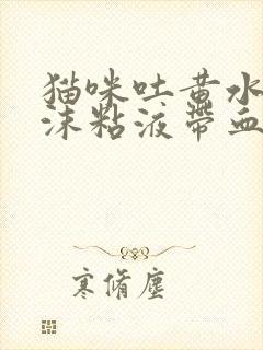 猫咪吐黄水有泡沫粘液带血