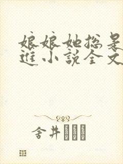 娘娘她总是不上进小说全文免费阅读封面