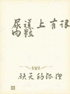 尿道上有很多小肉粒