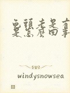 龟头老是有尿意是怎么回事?