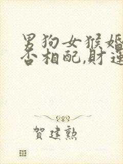 男狗女猴婚姻是否相配,财运如何封面