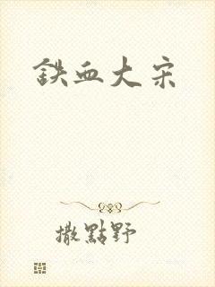 铁血大宋封面