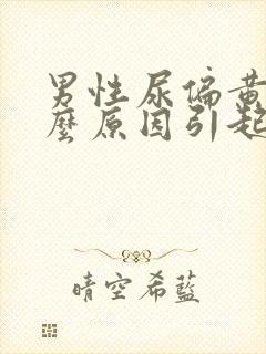 男性尿偏黄是什么原因引起的