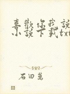 喜欢你我说了算小说下载txt