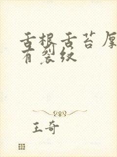 舌根舌苔厚黄腻有裂纹