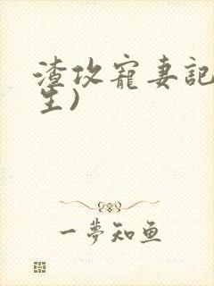 渣攻宠妻记(重生)