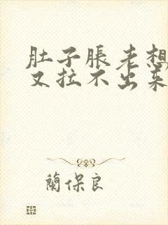 肚子胀老想拉屎又拉不出来怎么回事