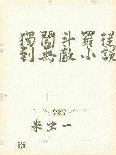 独闯斗罗从穿越到无敌小说免费阅读