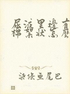 尿液里边有白色棉絮状怎么回事封面