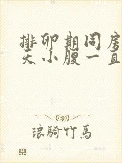 排卵期同房后几天小腹一直隐隐作痛封面