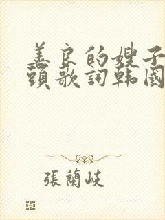 善良的嫂子中字头歌词韩国电影封面