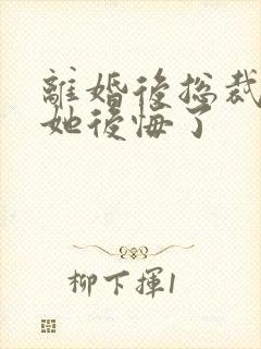 离婚后总裁老婆她后悔了