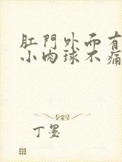 肛门外面有一个小肉球不痛不痒封面