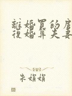 离婚买的房子又复婚算夫妻共同财产吗封面