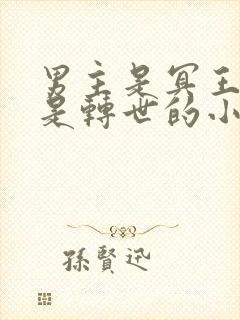 男主是冥王女主是转世的小说封面