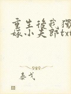 重生后我独宠替嫁小夫郎txt
