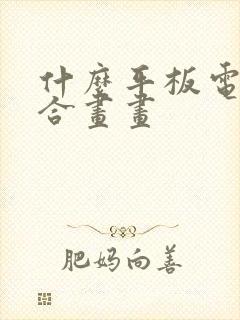 什么平板电脑适合画画