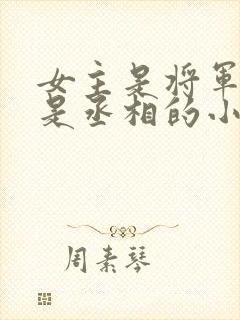 女主是将军男主是丞相的小说