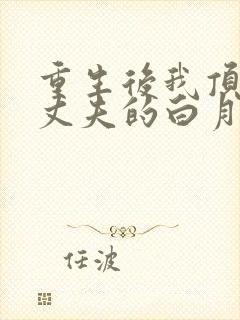 重生后我顶替了丈夫的白月光