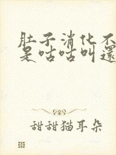 肚子消化不良老是咕咕叫还放屁是怎么回事