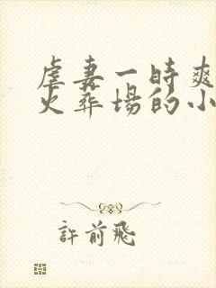 虐妻一时爽追妻火葬场的小说