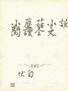 小蘑菇小说免费阅读全文封面