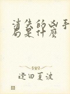 消失的凶手大结局是什么封面